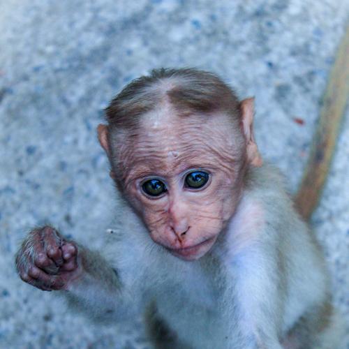 Photo #4096890