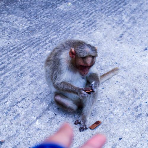 Photo #4096897