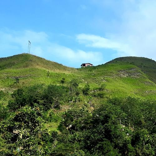 Photo #4097186