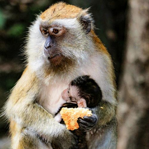 Photo #4097388