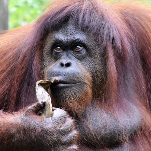 Photo #4097443