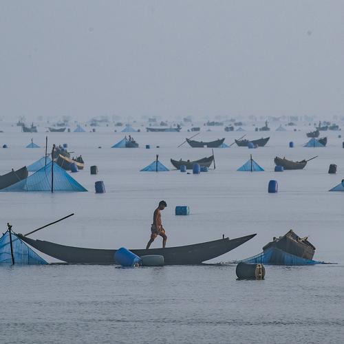 Photo #4097470