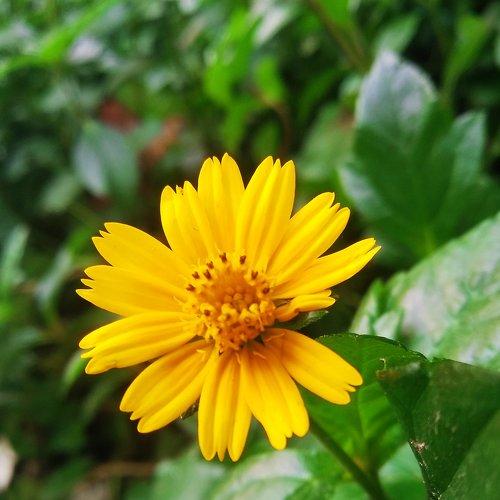 Photo #4097487