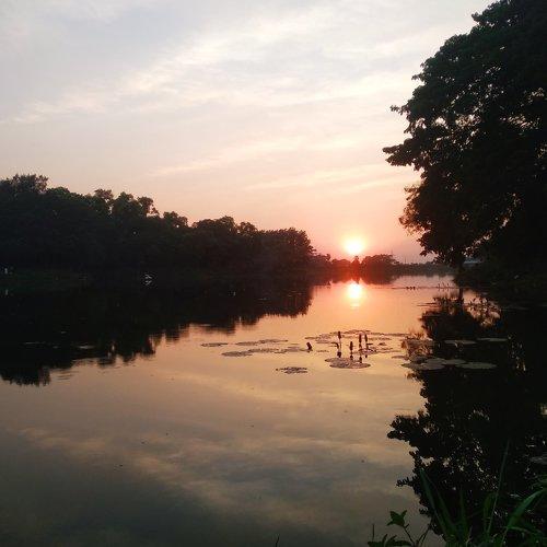 Photo #4097490