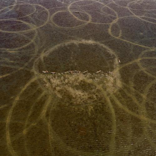 Photo #4097509