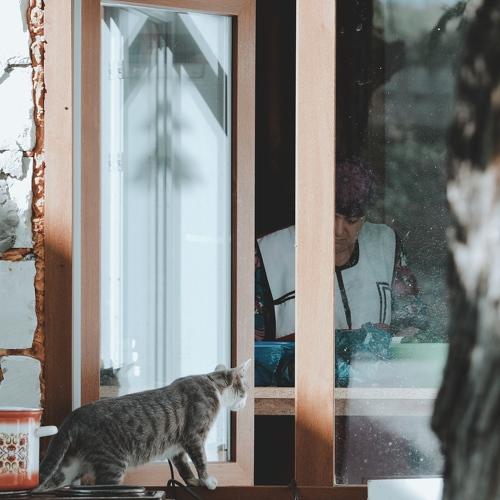 Photo #4097582