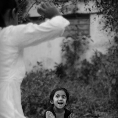 Photo #4098048