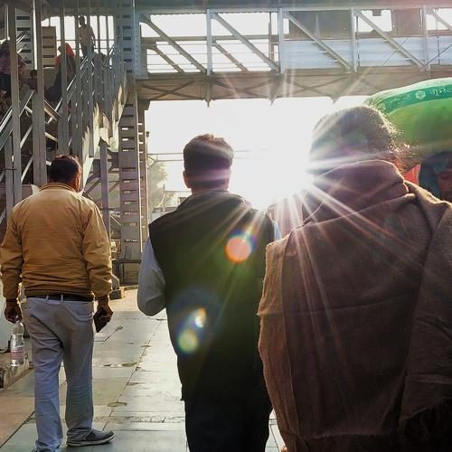 Photo #4098069