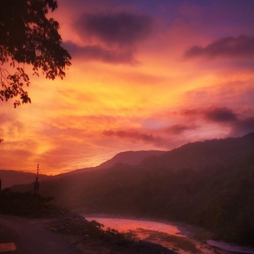 Photo #4098213