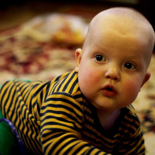 Photo #4098534