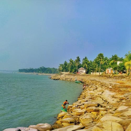 Photo #4099279