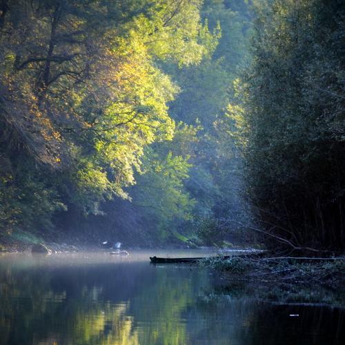 Photo #4099381