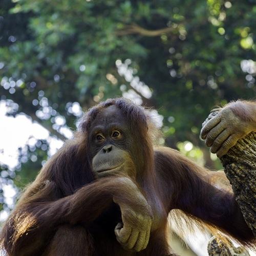 Photo #4099503