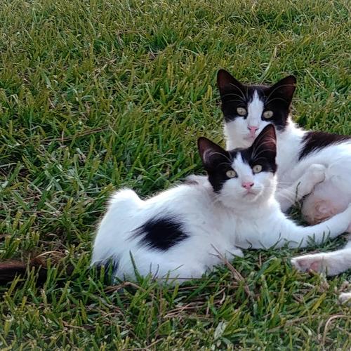 Photo #4099593
