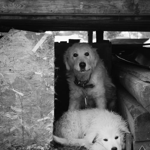 Photo #4099594