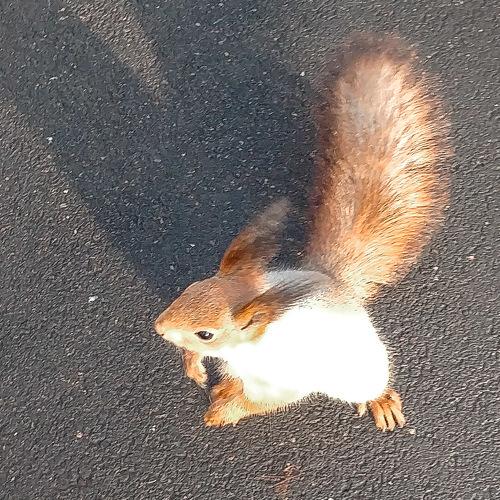 Photo #4099599