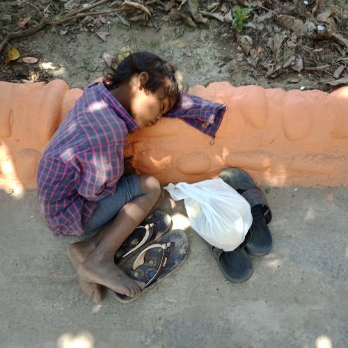 Photo #4099713