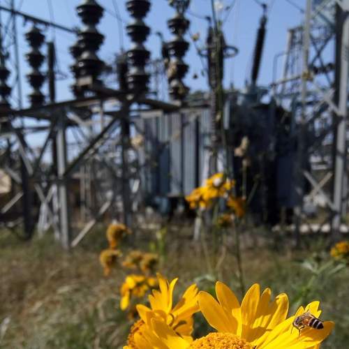 Nature & Technology