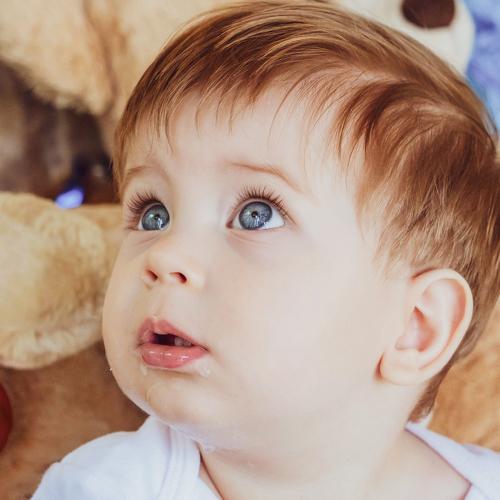 Photo #4100021