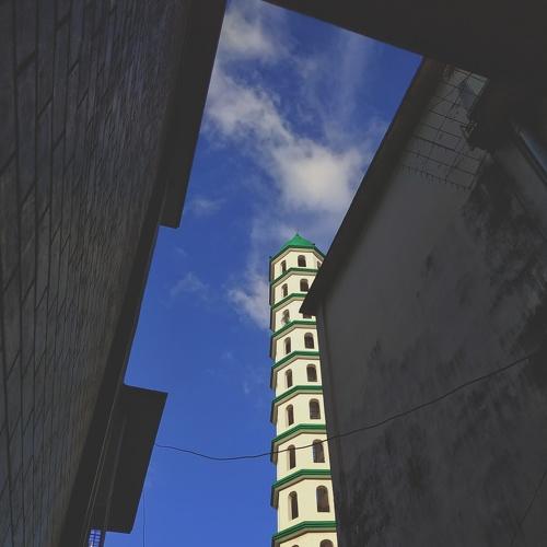 Photo #4100150