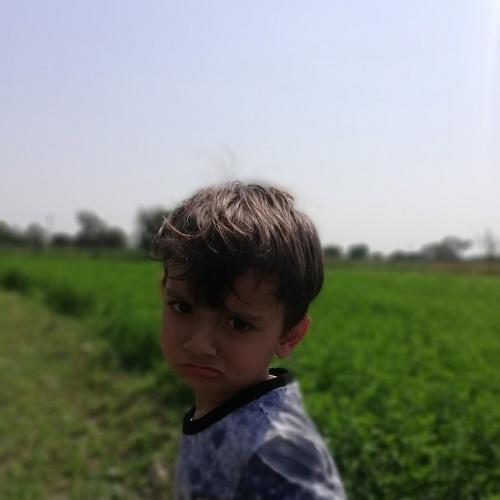 Photo #4100161
