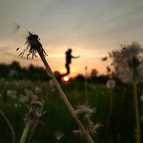Photo #4100694