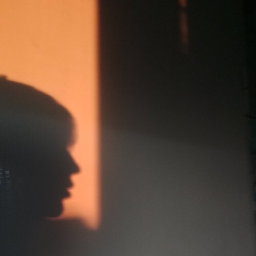 Photo #4100696