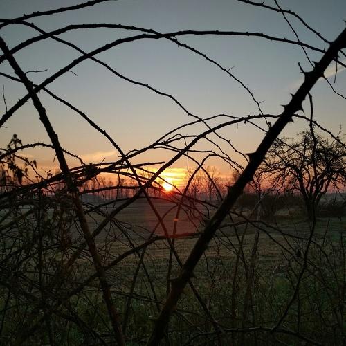 Photo #4100700