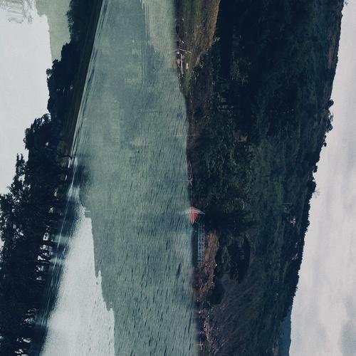 Photo #4100748