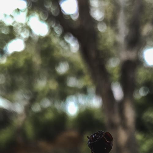 Photo #4100750