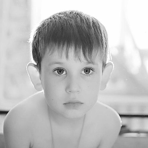 Photo #4100848