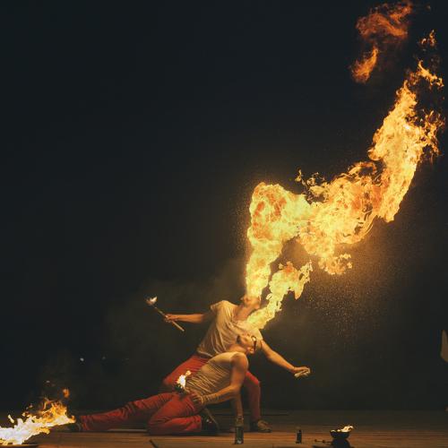 Photo #4100852