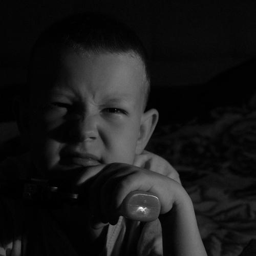 Photo #4102662