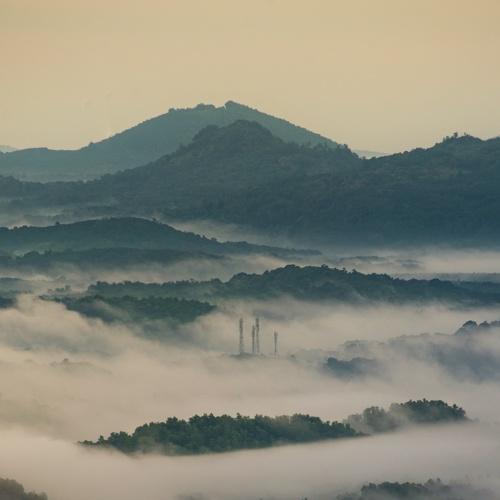 Photo #4102706