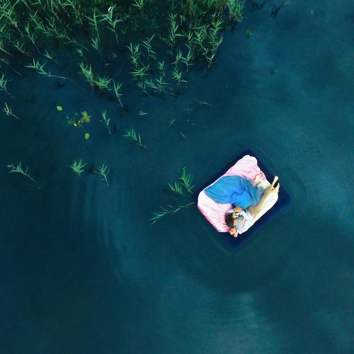 Photo #4103152