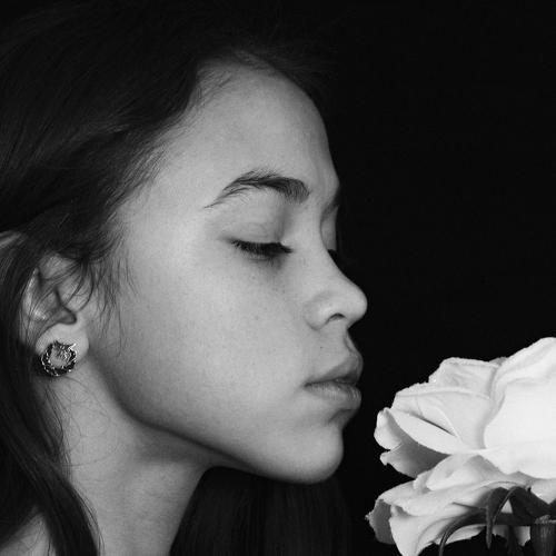 Photo #4103485