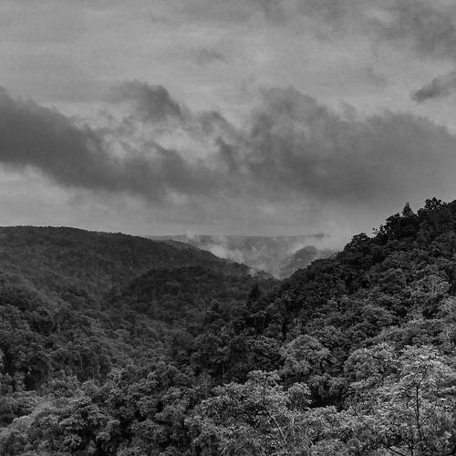 Photo #4103681