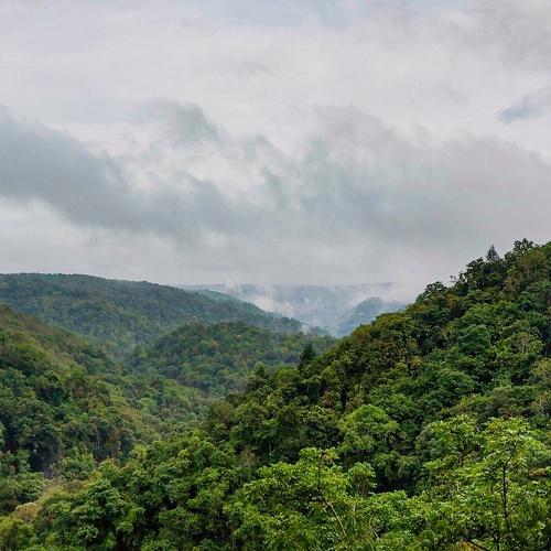 Photo #4103682