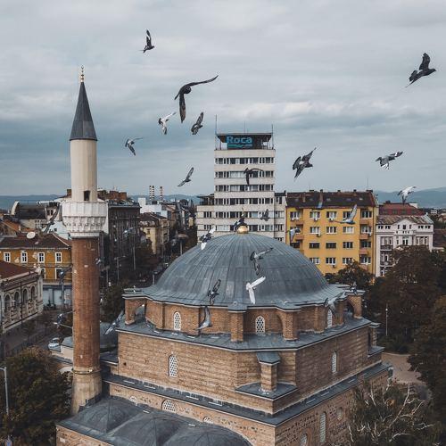 Фотография #4103885