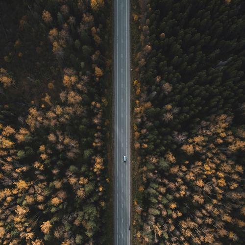 Фотография #4103888