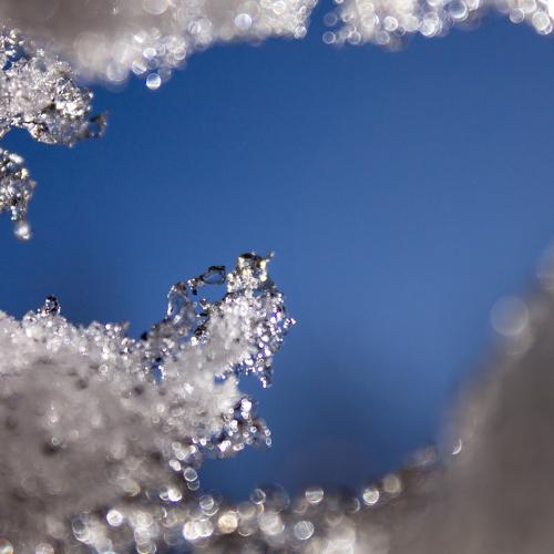 Photo #4103969