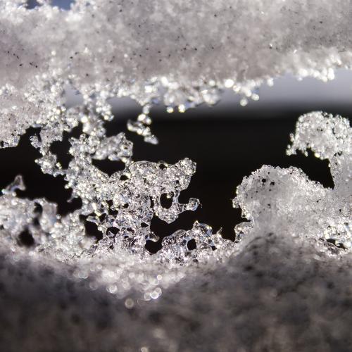 Photo #4103996