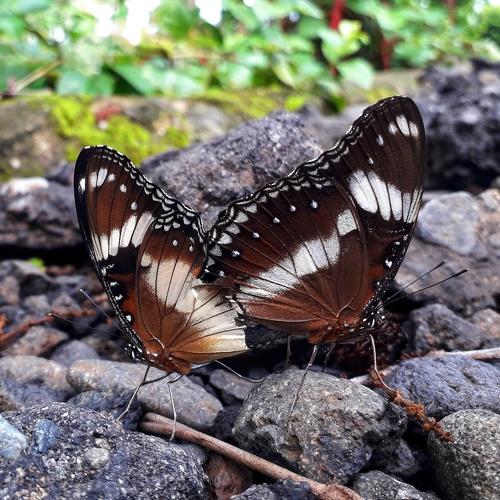 Photo #4104443