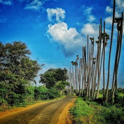 Village travel
