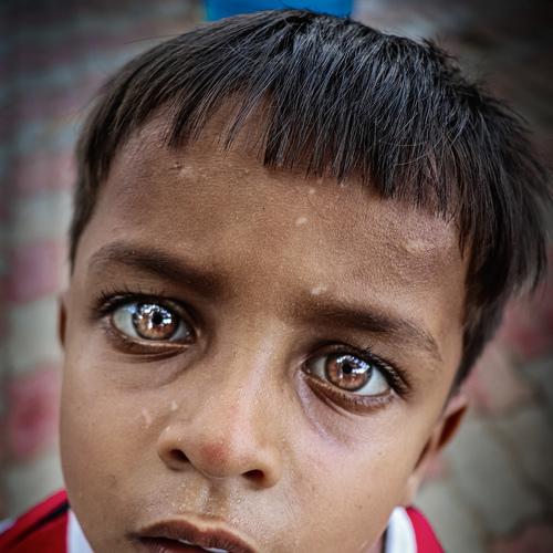 Photo #4104945