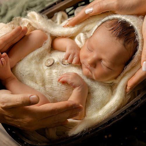 Фотография #4104958