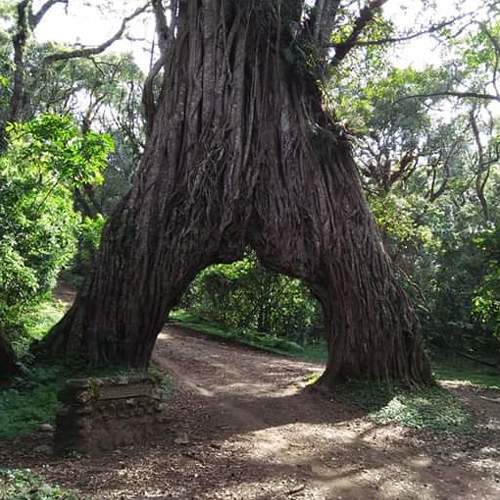 Photo #4105086