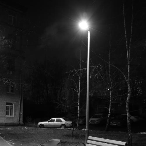 Photo #4105092
