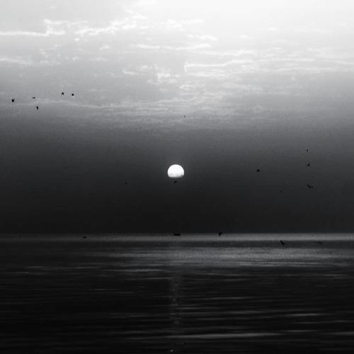 Photo #4105251
