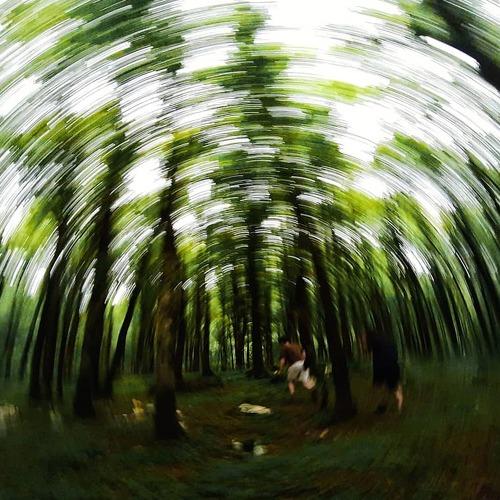 Photo #4105289